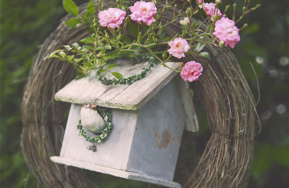 Diese Arbeiten sind jetzt im Garten noch nötig