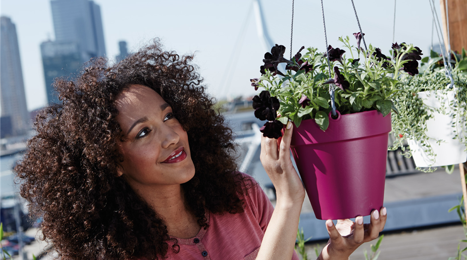 elho_loft_urban_hanging_basket_cherry.jpg